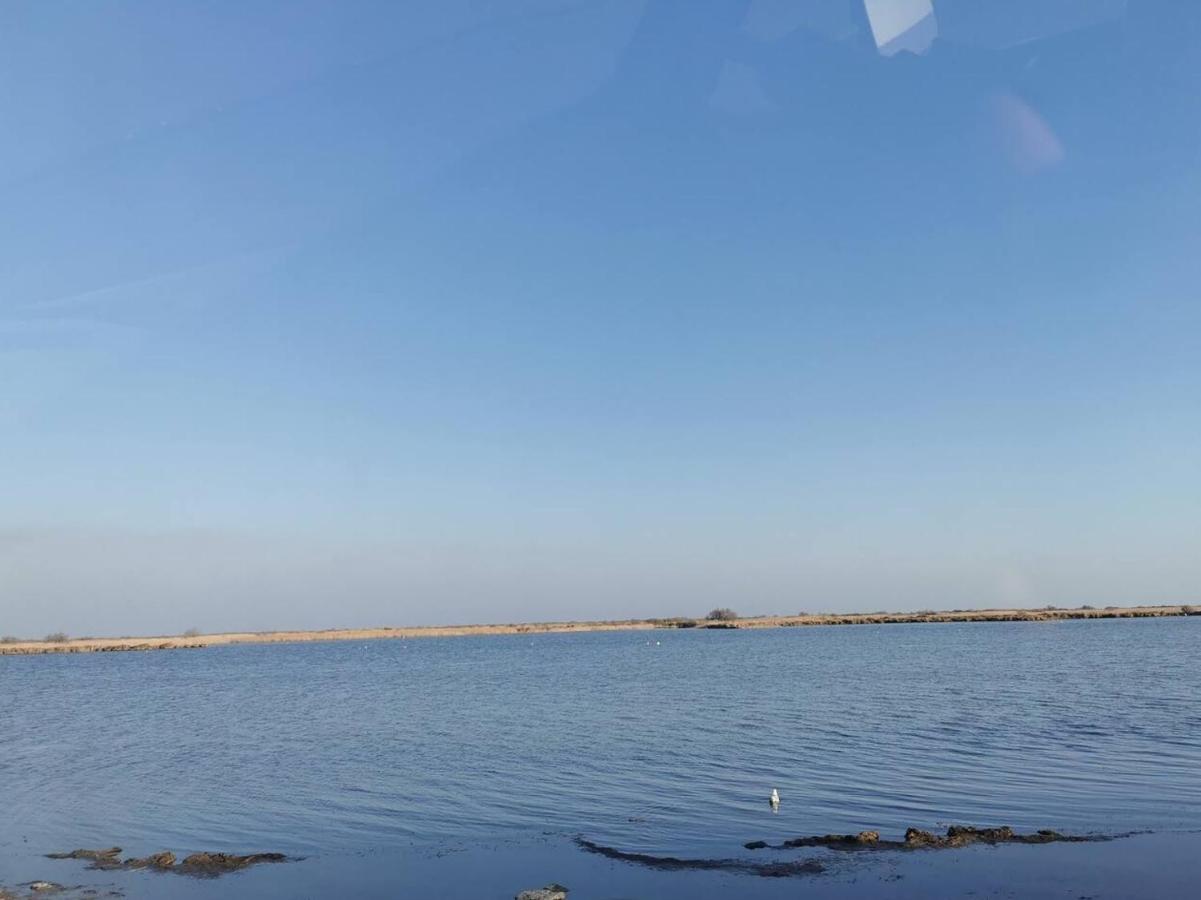 Plages De Camargue Et Logement Dans Un Site Calme De Reve Арль Экстерьер фото