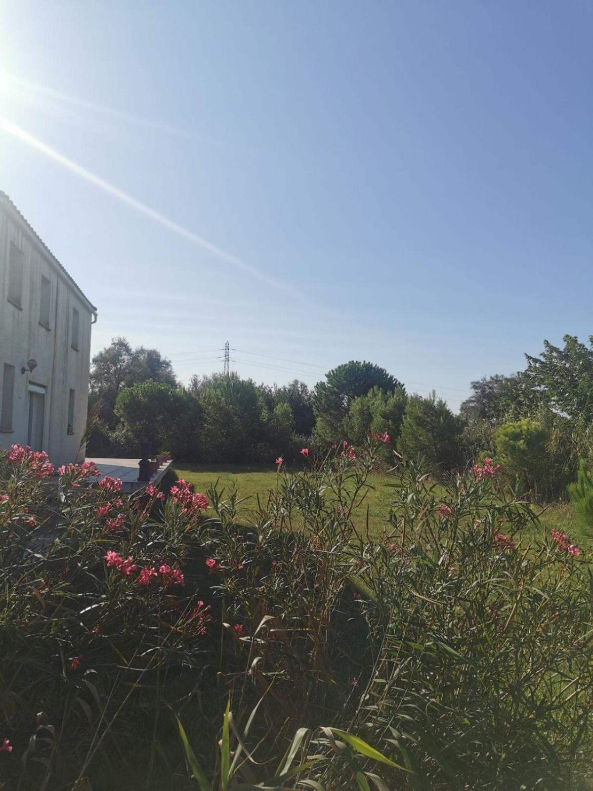 Plages De Camargue Et Logement Dans Un Site Calme De Reve Арль Экстерьер фото
